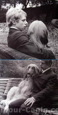 vrai ou fausse blonde ?